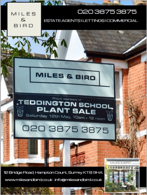 SUPPORTING TEDDINGTON SCHOOL PLANT SALE